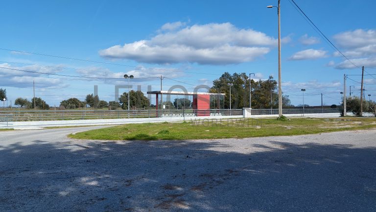 Quinta com +9 hectares · Castelo Novo, Fundão