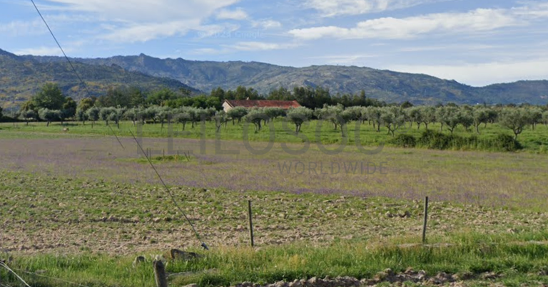 Quinta com +9 hectares · Castelo Novo, Fundão