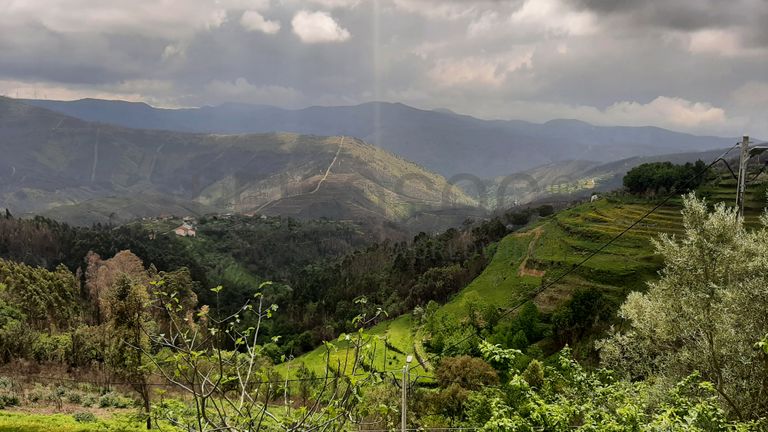 Quinhão Hereditário · Cabril, Castro Daire