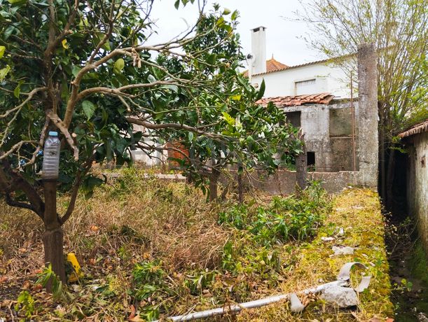 Proporção de 1/4 de Moradia · Vermelha, Cadaval