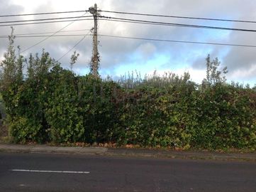 Proporção de 15/120 de Terreno · Feteira, Horta