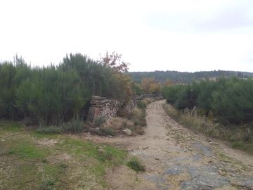 Terreno com Benfeitorias · Vila Real