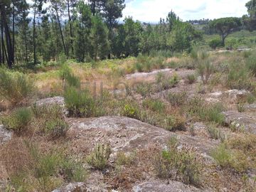 Proporção de 1/5 de 10 Terrenos · Carregal do Sal