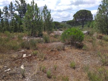 Proporção de 1/5 de 10 Terrenos · Carregal do Sal