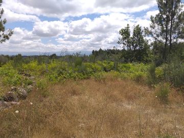 Proporção de 1/5 de 10 Terrenos · Carregal do Sal