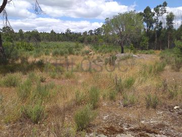 Proporção de 1/5 de 10 Terrenos · Carregal do Sal