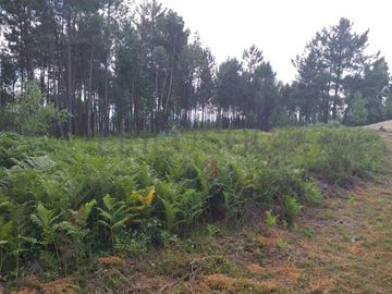 Proporção de 1/5 de 10 Terrenos · Carregal do Sal