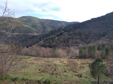 Terreno · Ribeira de Pena, Vila Real 