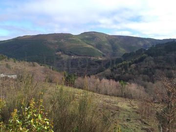 Terreno · Ribeira de Pena, Vila Real 