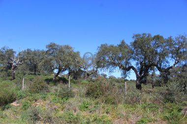 Terrenos · Cuba, Beja