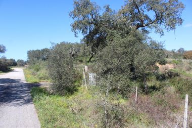 Terrenos · Cuba, Beja