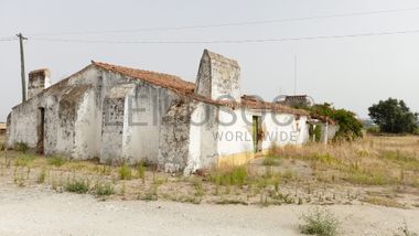 Herdade do Monte Branco c/ 140ha · Redondo, Évora