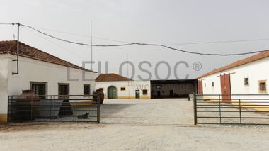 Herdade do Monte Branco c/ 140ha · Redondo, Évora