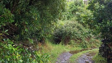 Quinhão Hereditário · Angra do Heroísmo, Açores