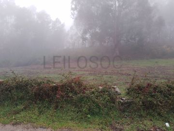 Moradias para Reconstrução + Terrenos · 15,43 ha · Póvoa de Lanhoso