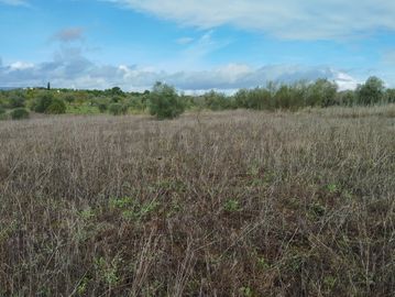 Terreno · Brogueira, Torres Novas