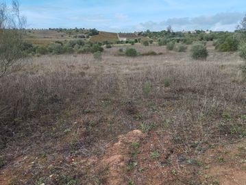 Terreno · Brogueira, Torres Novas