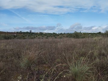 Terreno · Brogueira, Torres Novas