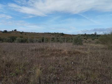 Terreno · Brogueira, Torres Novas