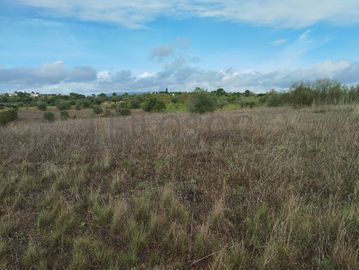 Terreno · Brogueira, Torres Novas