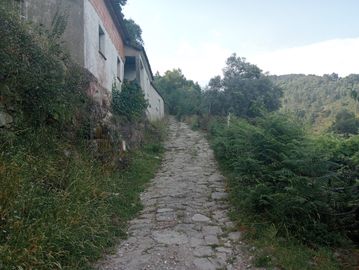 Quinhão Hereditário · Arcos de Valdevez