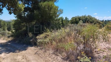 Terreno c/ 2,66 ha · Penamacor, Castelo Branco