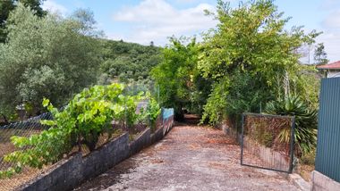 Direito à Meação de Moradia + Terreno · Ferreira do Zêzere