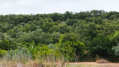 Terreno · Ferreira do Zêzere, Santarém