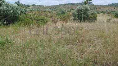 Terreno · Ferreira do Zêzere, Santarém