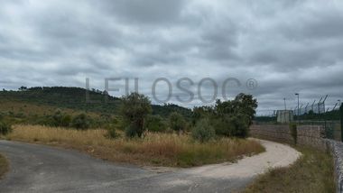 Terreno · Ferreira do Zêzere, Santarém
