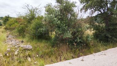 Terreno · Ferreira do Zêzere, Santarém