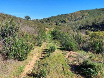 Terreno com 10 Hectares · Mértola