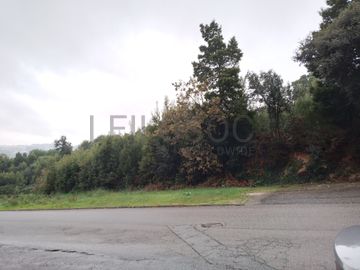 Terreno com +3 hectares · Valbom, Gondomar 