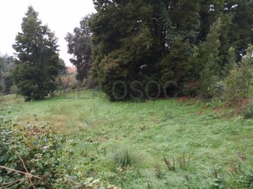 Terreno com +3 hectares · Valbom, Gondomar 