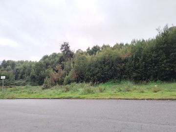 Terreno com +3 hectares · Valbom, Gondomar 