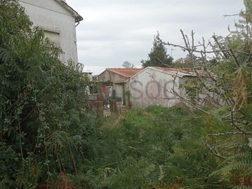Quinhão Hereditário · Seixas, Caminha