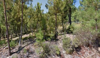 Terreno com 4.900 m² · Silvares, Fundão