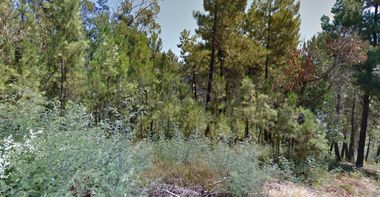 Terreno com 4.900 m² · Silvares, Fundão
