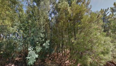 Terreno com 4.900 m² · Silvares, Fundão