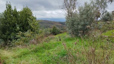 Terreno com 4.250 m² · Mangualde