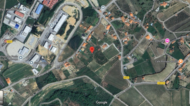 Quinhão Hereditário · Lamego e Tarouca