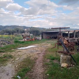 Quinhão Hereditário · Lamego e Tarouca