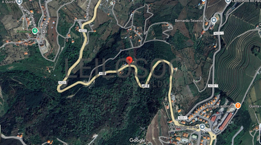 Quinhão Hereditário · Lamego e Tarouca