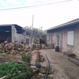 Quinhão Hereditário · Lamego e Tarouca