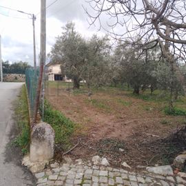 Quinhão Hereditário · Lamego e Tarouca