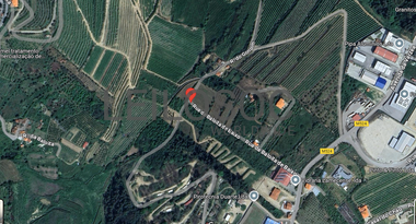 Quinhão Hereditário · Lamego e Tarouca