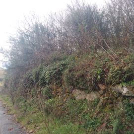 Quinhão Hereditário · Lamego e Tarouca