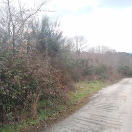 Quinhão Hereditário · Lamego e Tarouca