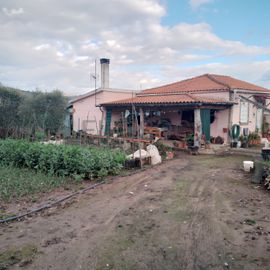 Quinhão Hereditário · Lamego e Tarouca
