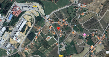 Quinhão Hereditário · Lamego e Tarouca